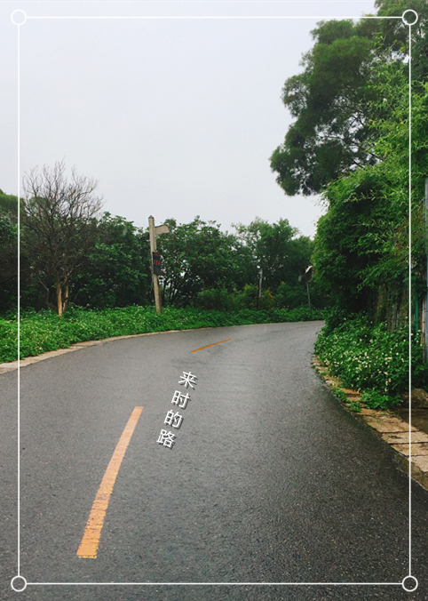 Z6ʱйٷվ